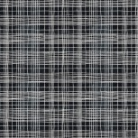 The Plaid One